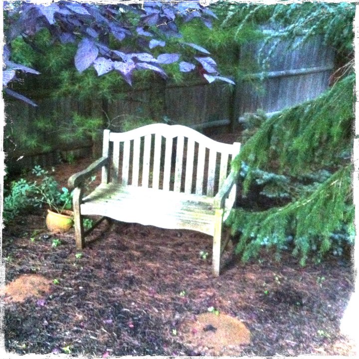 bench photo