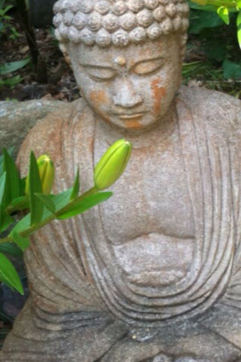 Buddha